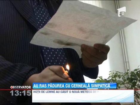 Hotii de lemne au gasit o noua metoda de furt - avize completate cu cerneala invizibila