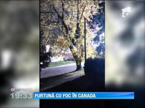 Furtuna de foc in Canada