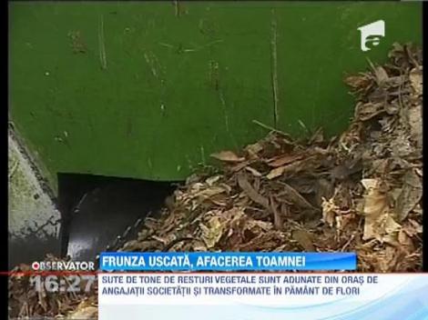 O firma din Oradea recicleaza resturi vegetale