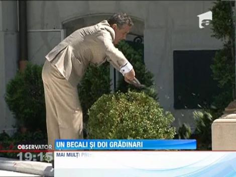 Gigi Becali, dorit in functia de gradinar la Liga