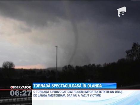 O tornada a facut ragavii intr-un orasel din Olanda