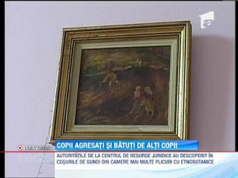 Update / Copii agresati si batuti de adolescentii din centrul de plasament din Oradea