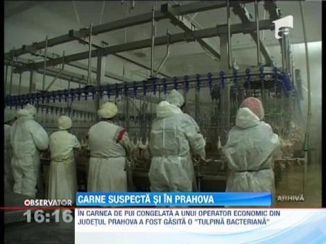 Salmonella, depistata in carne de pui