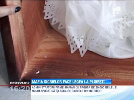 Mafia sicrielor face legea la Ploieşti