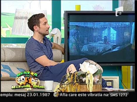 Giulia, invitată să participe în juriul pentru "Cea mai Sexy Mămică"