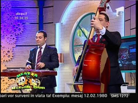 Nelu Ploieşteanu - "Foaie verde, măr domnesc"