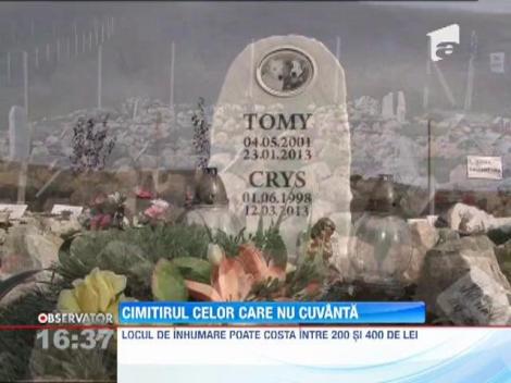 Cimitirul celor care nu cuvântă