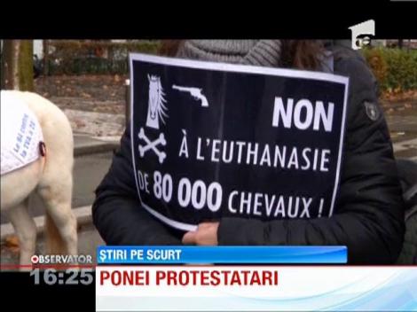 Parisul invadat de ponei şi cai