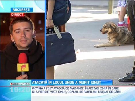 O femeie a fost muşcată de maidanezi, în aceeaşi zonă în care şi-a pierdut viaţa Ionuţ Anghel