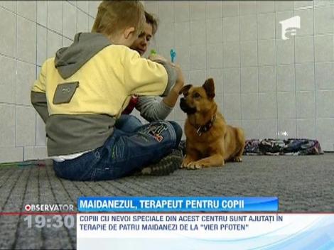 Maidanezul, terapeut pentru copii