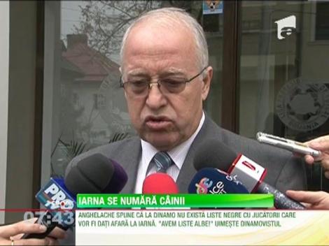 Dinamo începe curăţenia de iarnă, încă din toamnă