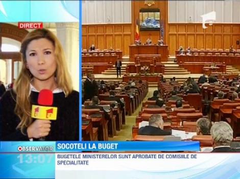 În 2014 vor fi mai mulţi bani pentru agricultură şi Sănătate