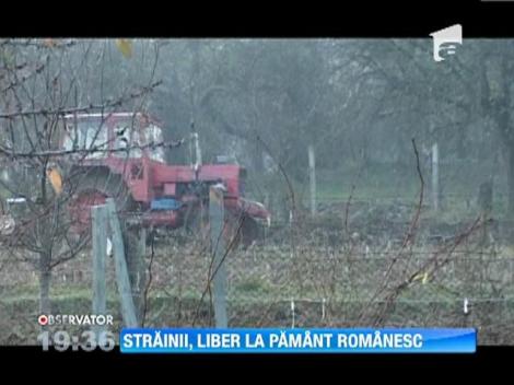 De anul viitor străinii vor putea să cumpere terenurile agricole ale României