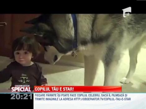 SPECIAL! Câinele bonă