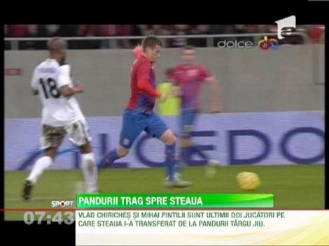Paul Anton este dorit de Steaua