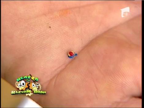 Cel mai mic steag al României, pictat pe un bob de mac, chiar în platoul de la "Neatza"!