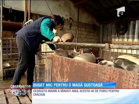 Grăbiți pregătirile pentru masa de Crăciun! Porcii au fost arvuniți din vară