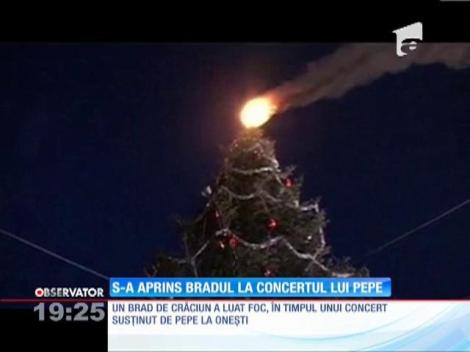 Un brad împodobit a luat foc la un concert susţinut de Pepe!
