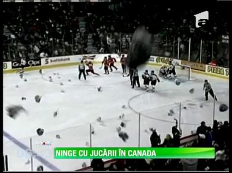 26.000 de ursuleţi de pluş aruncaţi pe gheaţă la un meci de hockey!