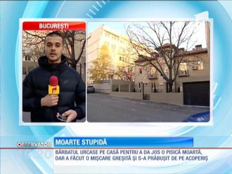 A murit după ce se urcase pe casă pentru a da jos o pisică moartă
