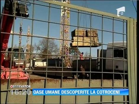Fragmente dintr-un schelet descoperite lângă porţile Palatului Cotroceni