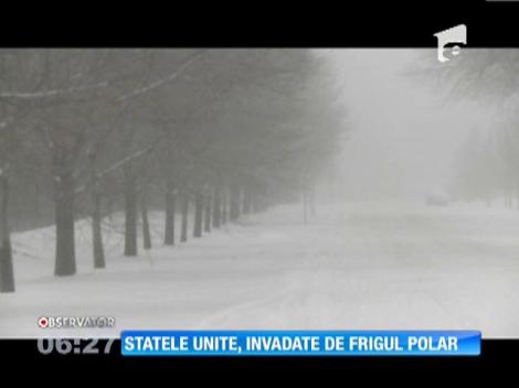 Statele Unite, invadate de frigul polar!