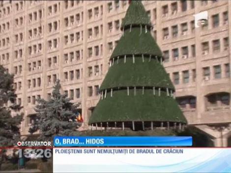 O, brad urât! Ploieştenii sunt nemulţumiţi de pomul de Crăciun