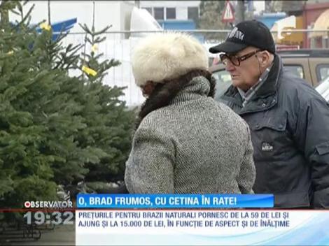 Anul acesta, Moş Nicolae a venit cu reduceri mari la brazii de Crăciun!