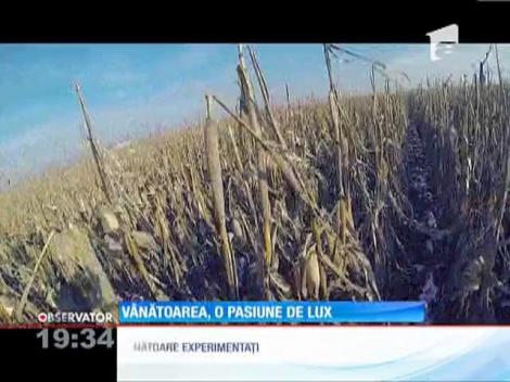 Vânătoarea, o pasiune de lux pentru politicieni