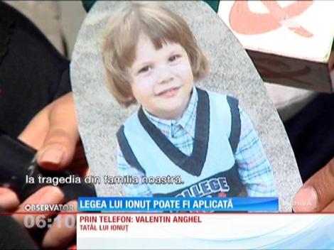 Legea câinilor fără stăpân poate fi aplicată