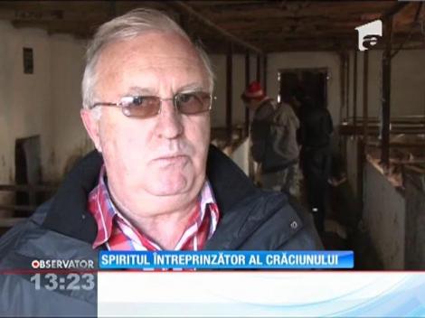 Elevii unui colegiu agricol din Hunedoara cresc porci pe care-i vând de Crăciun