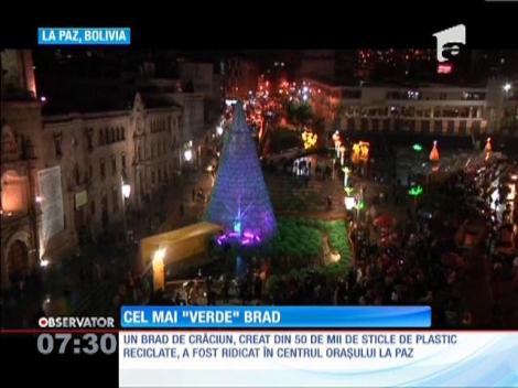 Brad ECO de 15 metri înalţime, realizat doar din sticle de plastic reciclate, în centrul capitalei Boliviei