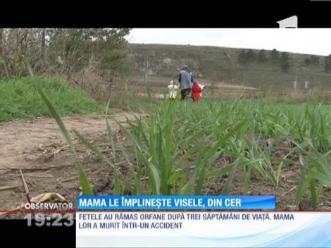 Două fetiţe rămase fără mamă au pentru prima oară în viaţă un brad de sărbători