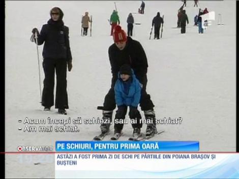 Pitici dezlantuiti pe partie