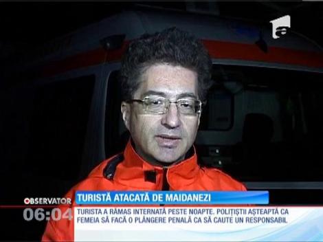 O turistă străină era să sfârşească în mijlocul unei haite de maidanezi, în Constanţa