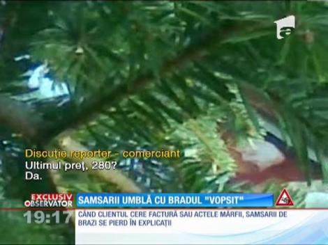 Speculantii îl fură şi pe Moş Crăciun! Bradul de la magazin ajunge  în piaţă de trei ori mai scump