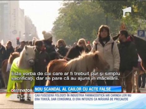 Franţa: 21 de persoane au fost arestate, într-o anchetă asupra vânzării de carne de cal