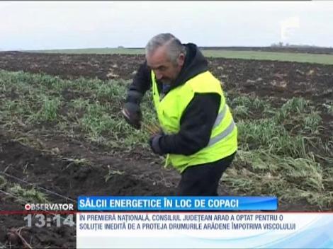 Metodă inedită de a proteja drumurile împotriva viscolului