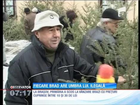 13.000 de brazi au fost confiscaţi de autorităţi în pieţele din România