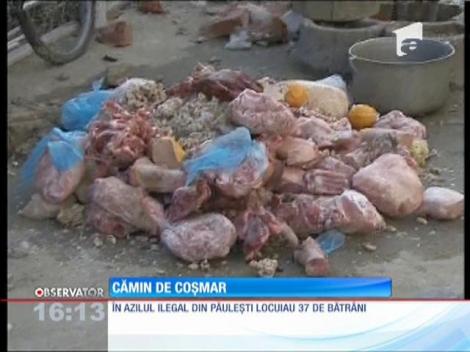 Imagini de coşmar într-un azil de bătrâni din Ploieşti!