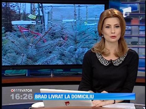 Brad gata impodobit pentru Craciun