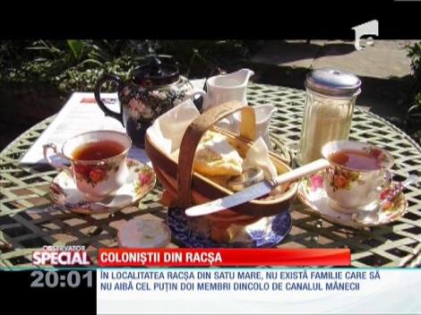 SPECIAL! Romanii din Satu Mare au invadat Marea Britanie