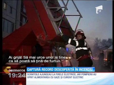 Captură record de cannabis descoperită în incendiu