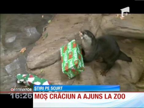 Moș Crăciun a ajuns la Zoo