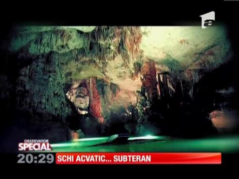 Liliecii  trăiesc o viaţă plină de adrenalină