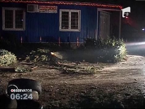 Sute de brazi au fost abandonați în piețe, la Odorhei