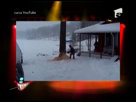 Defrişare cu probleme