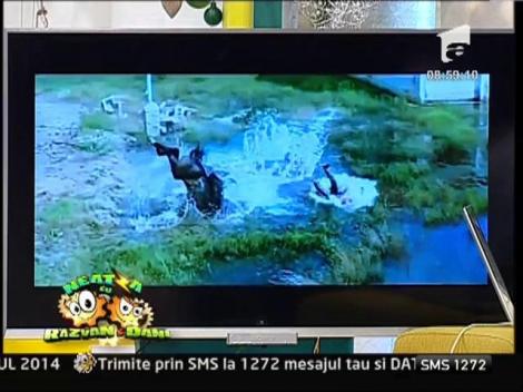 Smiley News: Hairstyle cu aspiratorul!