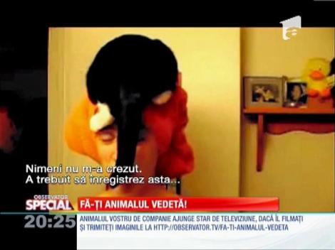 SPECIAL! Cu pisica pe cap