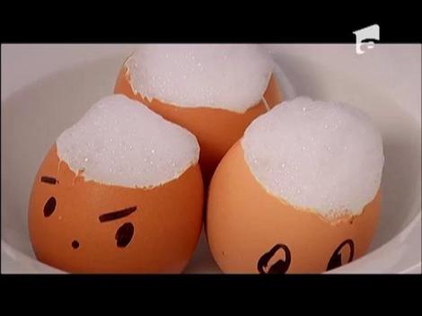 Echipa portocalie - preparat petrecere Cleopatra Stratan